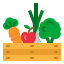 harvest